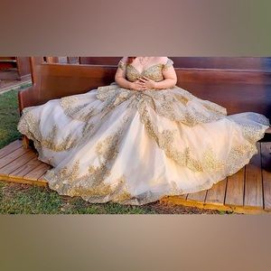 Sweet 16/  Quinceañera dress